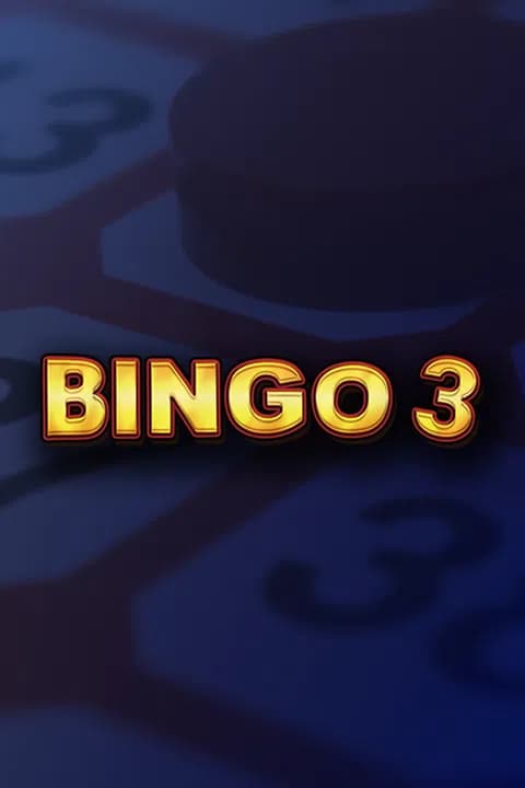 Bingo 3