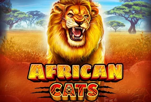 African Cats