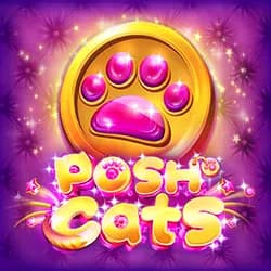 Posh Cats