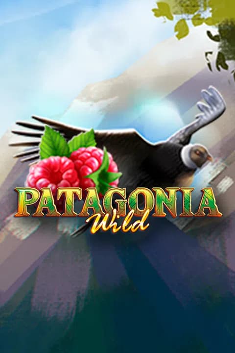 Patagonia Wilds