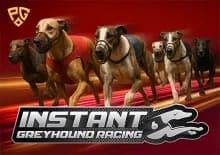 Instant Greyhound Racing